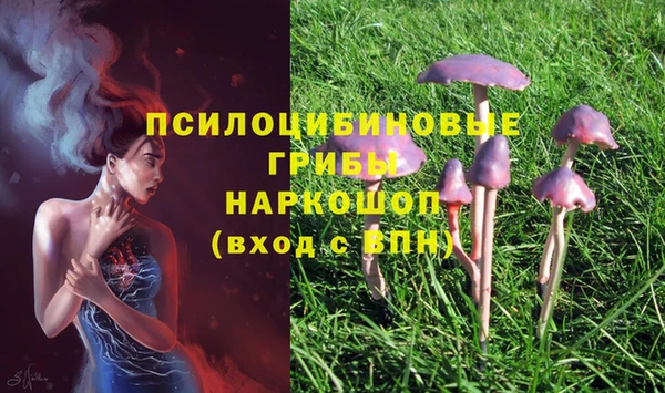 МДПВ Арсеньев